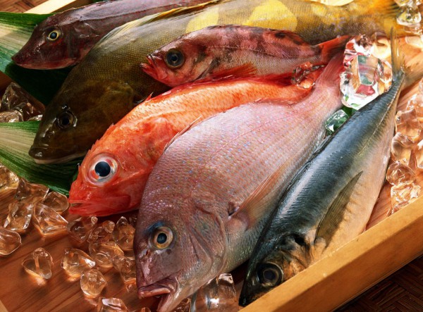 Блюда из рыбы. Хранение продуктов
